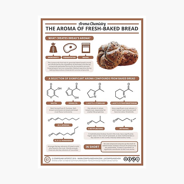 Item preview, The Aroma of Freshly-Baked Bread designed and sold by compoundchem.