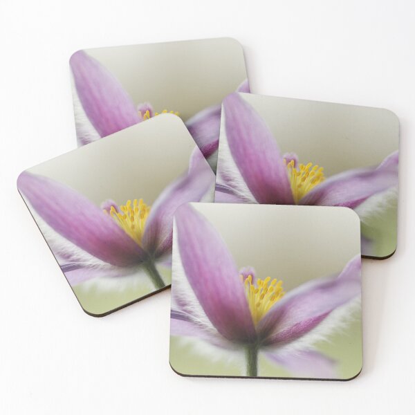 Item preview, Pulsatilla vulgaris  designed and sold by angel1.
