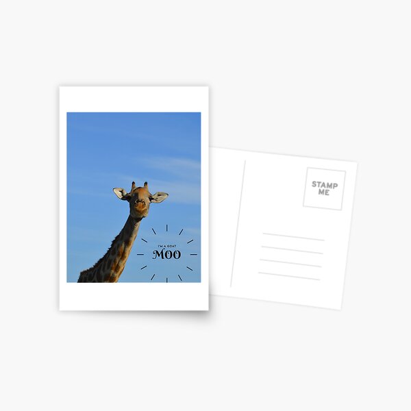 I'm a goat. Moo! Postcard