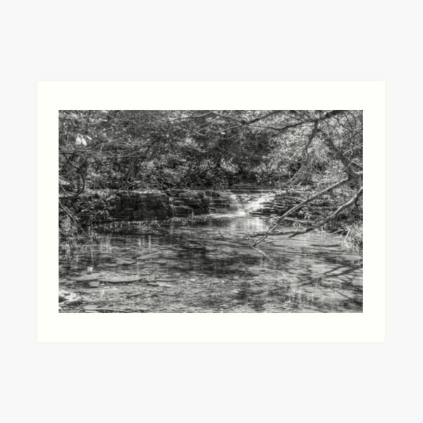 Waterfall Creek At Henning Conservation Grayscale Art Print