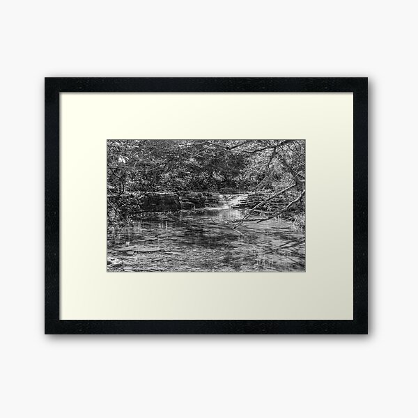 Waterfall Creek At Henning Conservation Grayscale Framed Art Print