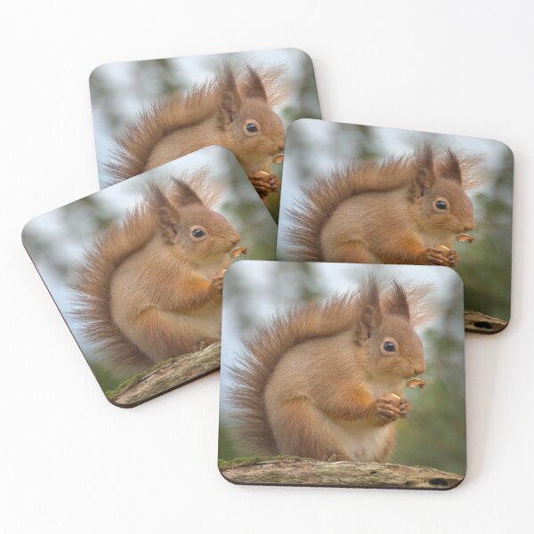 Item preview, Red Squirrel designed and sold by Macrae images.