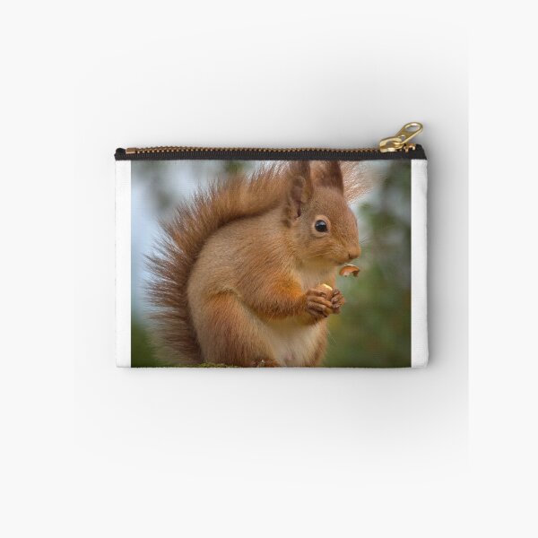 Item preview, Red Squirrel designed and sold by Macrae images.