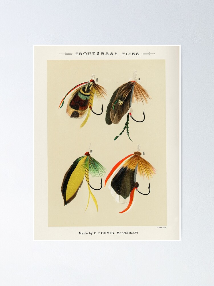 Trout and Bass Fly Fishing Lure Poster for Sale by SFTStudio