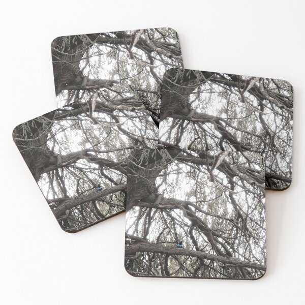 Item preview, Forest designed and sold by Alisha Ward Art.