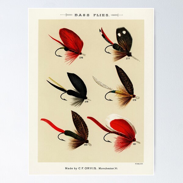 Bass Flies - Bass fly fishing Poster for Sale by SFTStudio