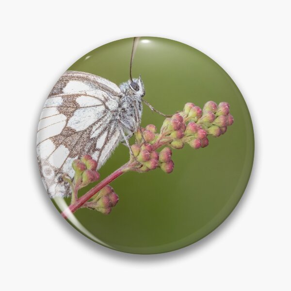 Item preview, Marbled white butterfly designed and sold by Davidpstephens.