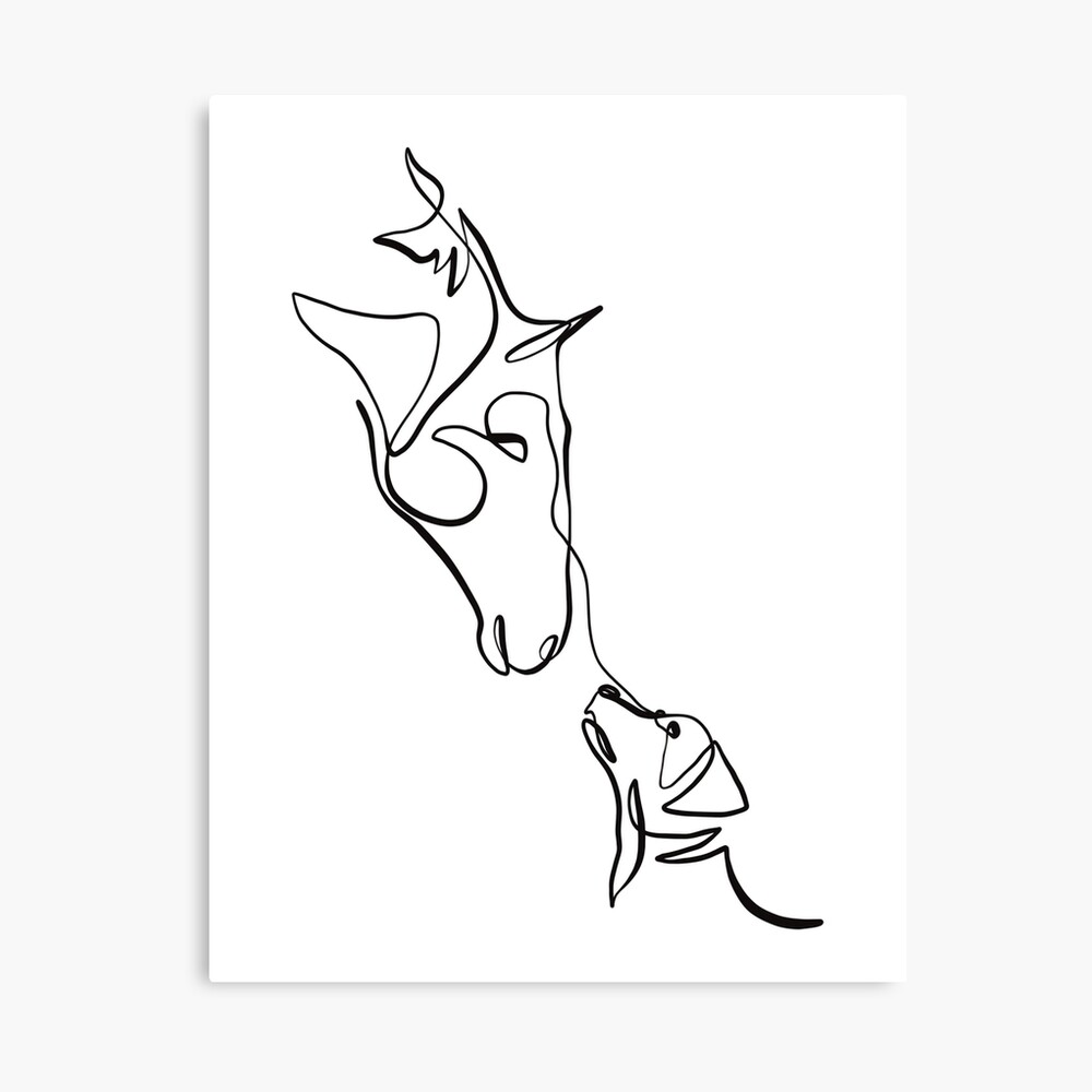 Premium Vector  Horse muzzle and female hand line drawing friendship  between human and animal trust
