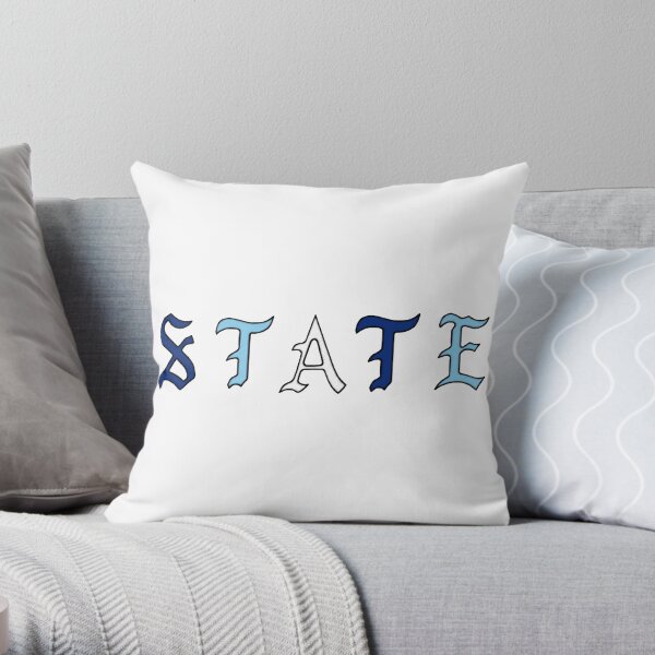 Penn state throw clearance pillows