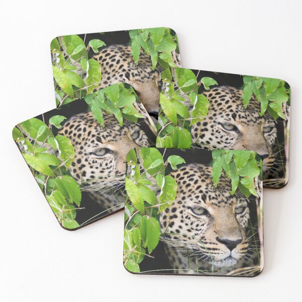 Item preview, Leopard hiding in the bushes designed and sold by C-B-Stuedal.