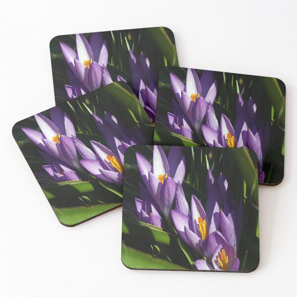 Item preview, crocus in the sun designed and sold by frankuffmann.