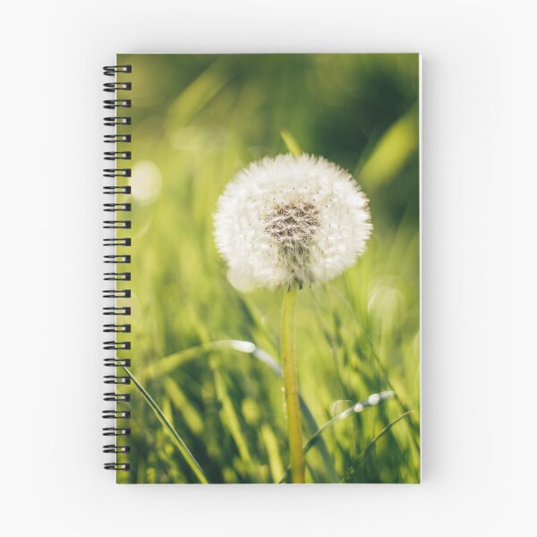 Item preview, Dandelions Clocks designed and sold by DebonitaDeore.
