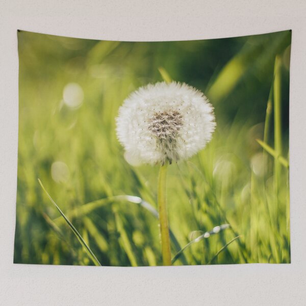 Item preview, Dandelions Clocks designed and sold by DebonitaDeore.