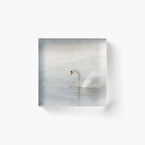 Item preview, Swan Lake designed and sold by heidipics.
