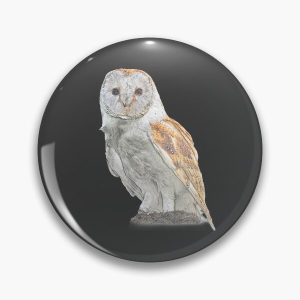 Item preview, Barn owl designed and sold by habilephoto.