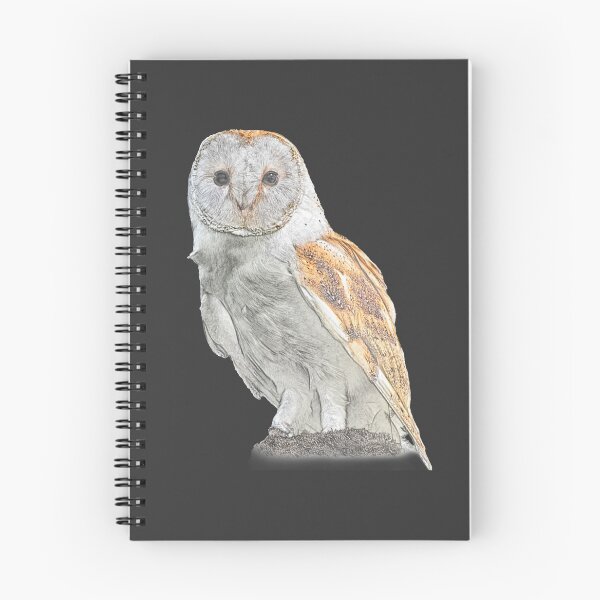 Item preview, Barn owl designed and sold by habilephoto.