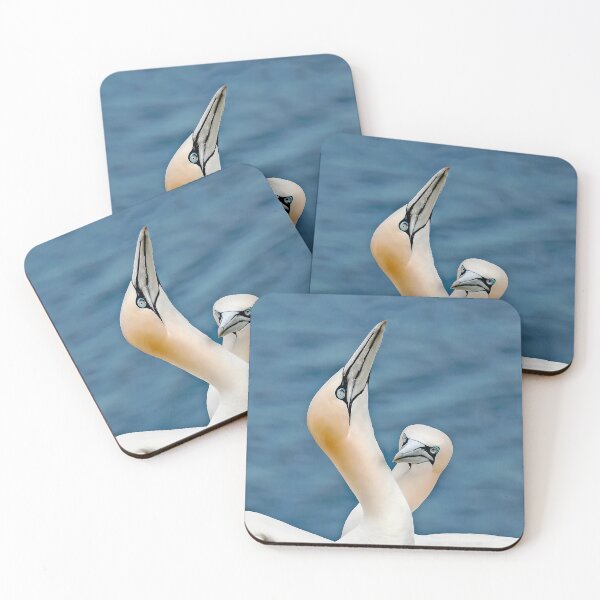 Item preview, Two Gannets on Bempton Ciffs designed and sold by mhfore.