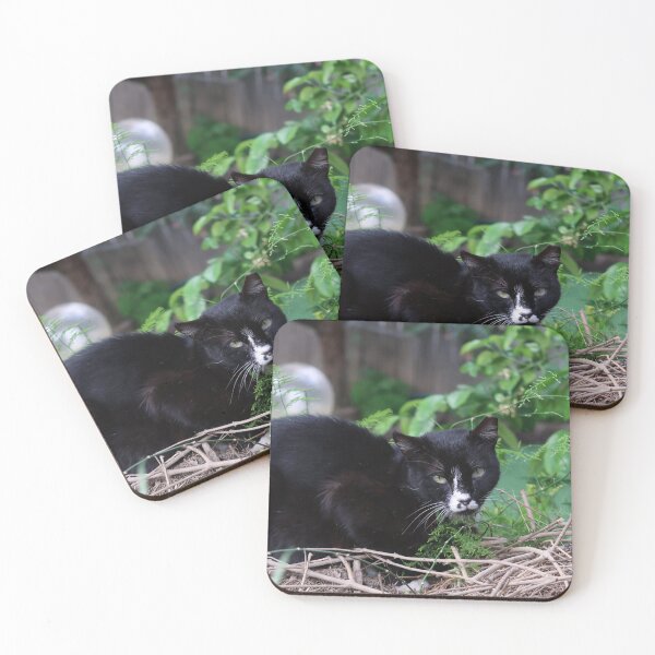 Item preview, Panter designed and sold by Nira Dabush.