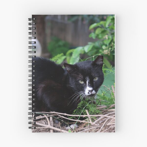 Item preview, Panter designed and sold by Nira Dabush.