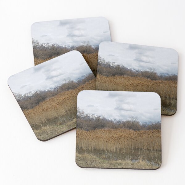 Item preview, Nature photography in the fall season designed and sold by Ventures1.
