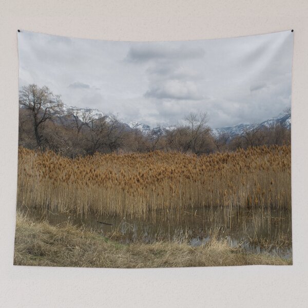 Item preview, Nature photography in the fall season designed and sold by Ventures1.