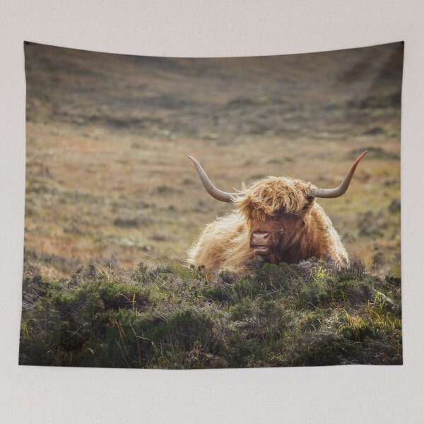 Item preview, Highland Cow Skye Scotland designed and sold by heidipics.