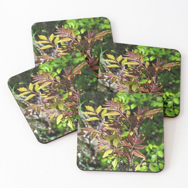 Item preview, Nature photography in the fall season designed and sold by Ventures1.