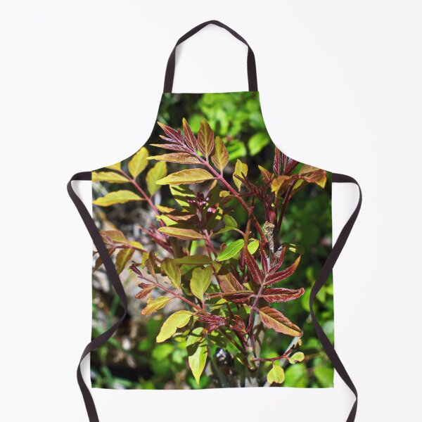 Item preview, Nature photography in the fall season designed and sold by Ventures1.