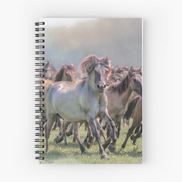 Item preview, A herd of wild horses designed and sold by boegau-photo.