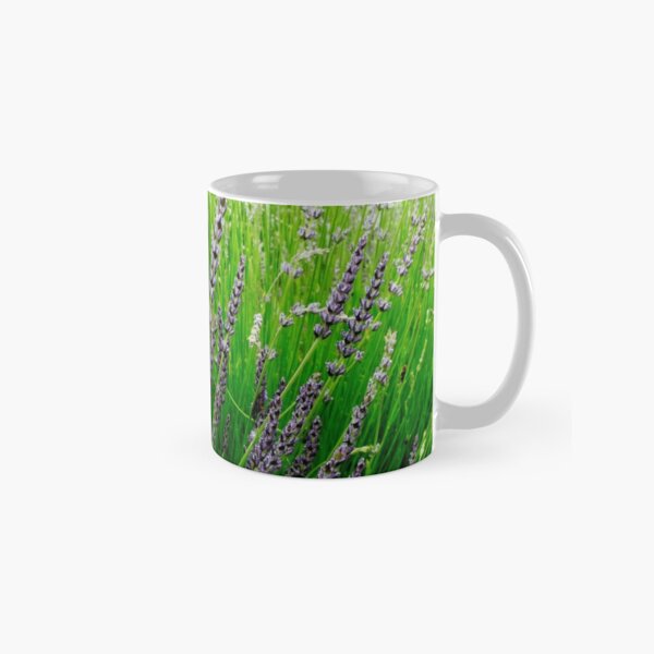 Misty Morning in Tiger Alley Classic Mug