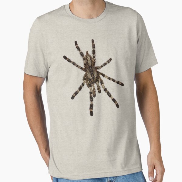 Item preview, P. Ornata Tarantula  designed and sold by zenwear.