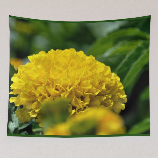 Item preview, Yellow Marigold Bloom designed and sold by michaelasamples.
