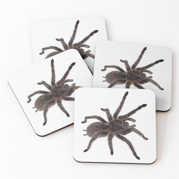 Item preview, G. Rosea Tarantula designed and sold by Liquid Venom.