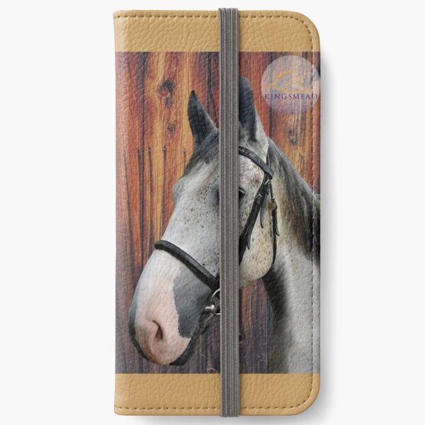 Barney Collection iPhone Wallet