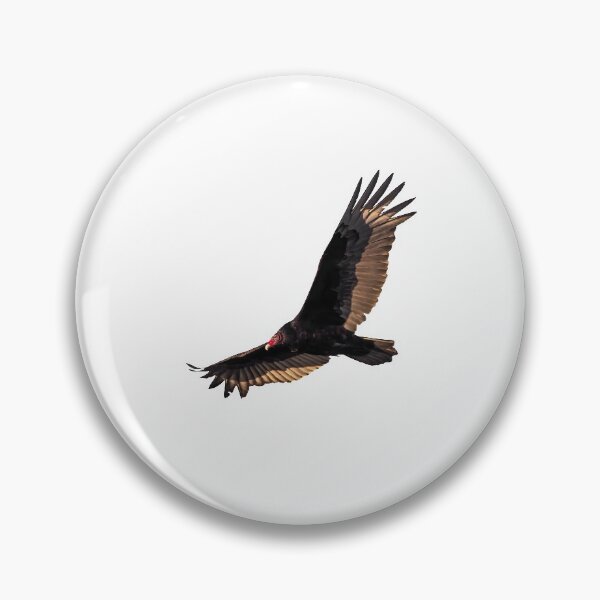 Item preview, Isolated Turkey Vulture 2020-3 designed and sold by Thomasyoung.