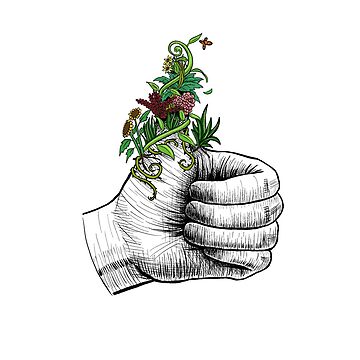 Vorschaubild zum Design Grüner Daumen von elgraphinx