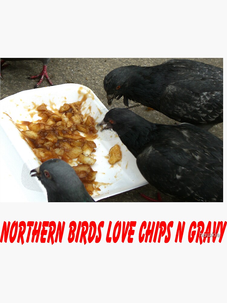 "Northern Birds love Chips n Gravy" Sticker for Sale by hawkie Redbubble