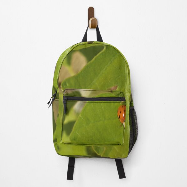 Item preview, Nature photography in the fall season designed and sold by Ventures1.