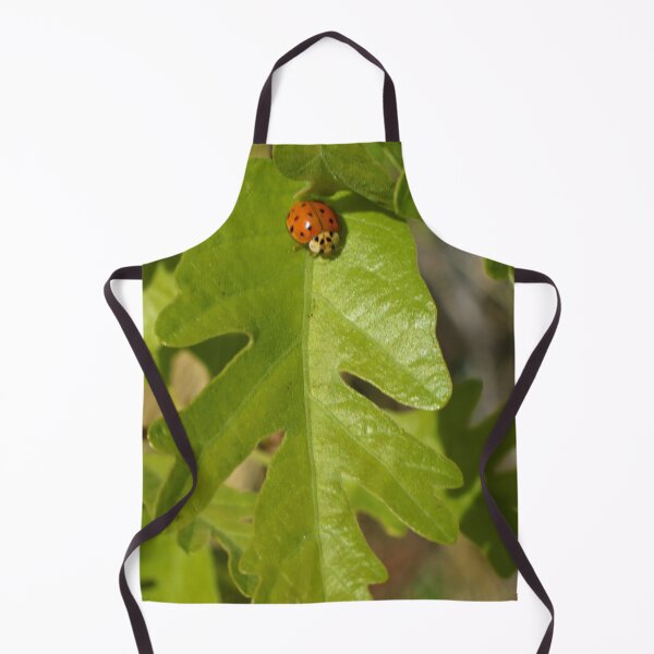 Item preview, Nature photography in the fall season designed and sold by Ventures1.