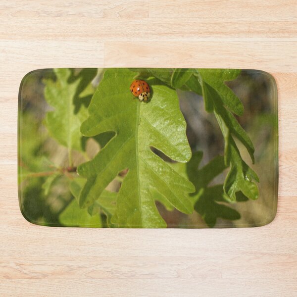 Item preview, Nature photography in the fall season designed and sold by Ventures1.