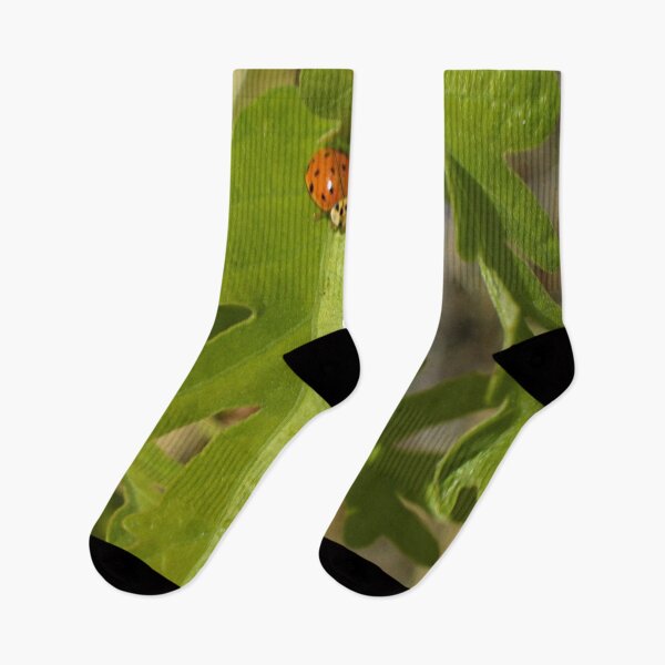 Item preview, Nature photography in the fall season designed and sold by Ventures1.