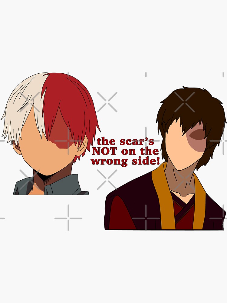 "the scar’s NOT on the wrong side" Sticker by echohicks1117 Redbubble