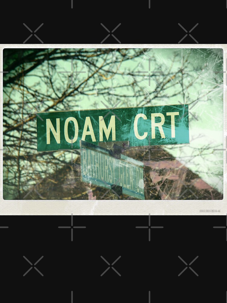 Noam mask, Noam, Noam socks, Noam sticker, Noam magnet by PicsByMi