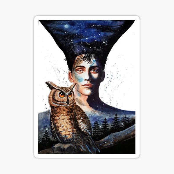 Owl spirit Sticker
