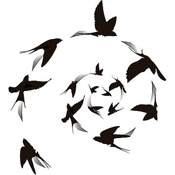 Imagen de la obra Pájaros volando en espiral de bertelv