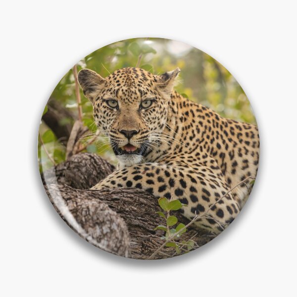 Item preview, Matriarch  designed and sold by iaintall.
