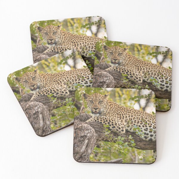 Item preview, Matriarch  designed and sold by iaintall.