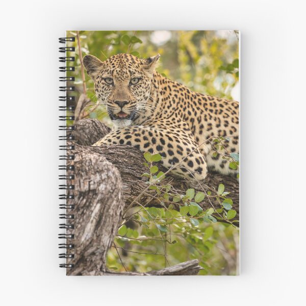 Item preview, Matriarch  designed and sold by iaintall.