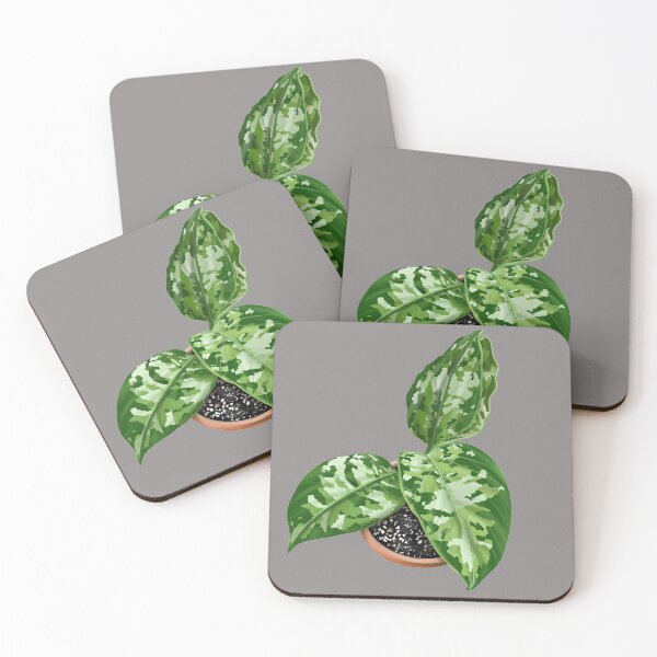 Item preview, Aglaonema pictum tricolor designed and sold by Karina Negron.