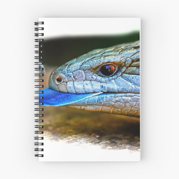 Item preview, Blue-tongued skink designed and sold by Normf.